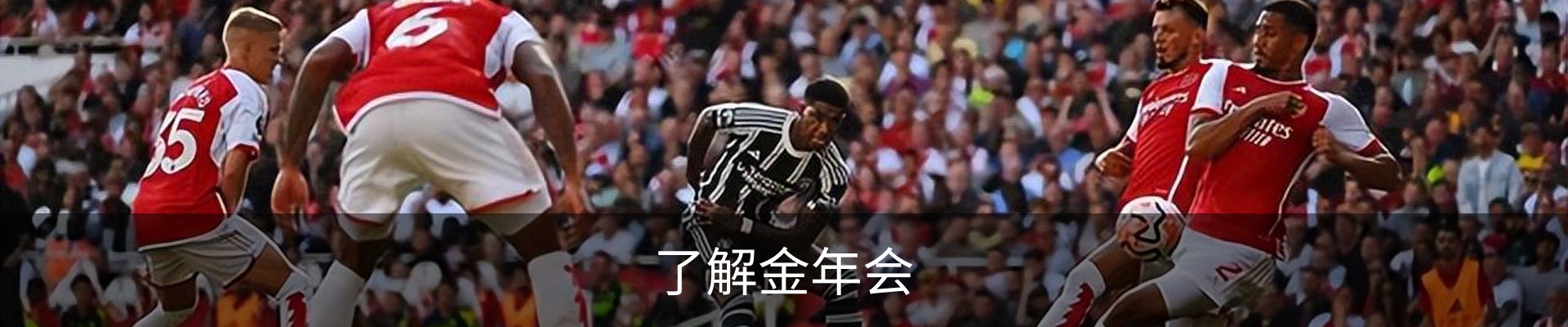 了解金年会