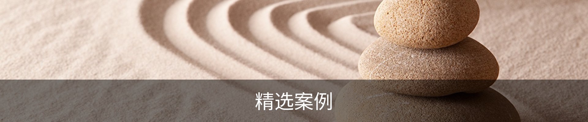 精选案例